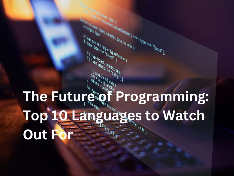 top programming language